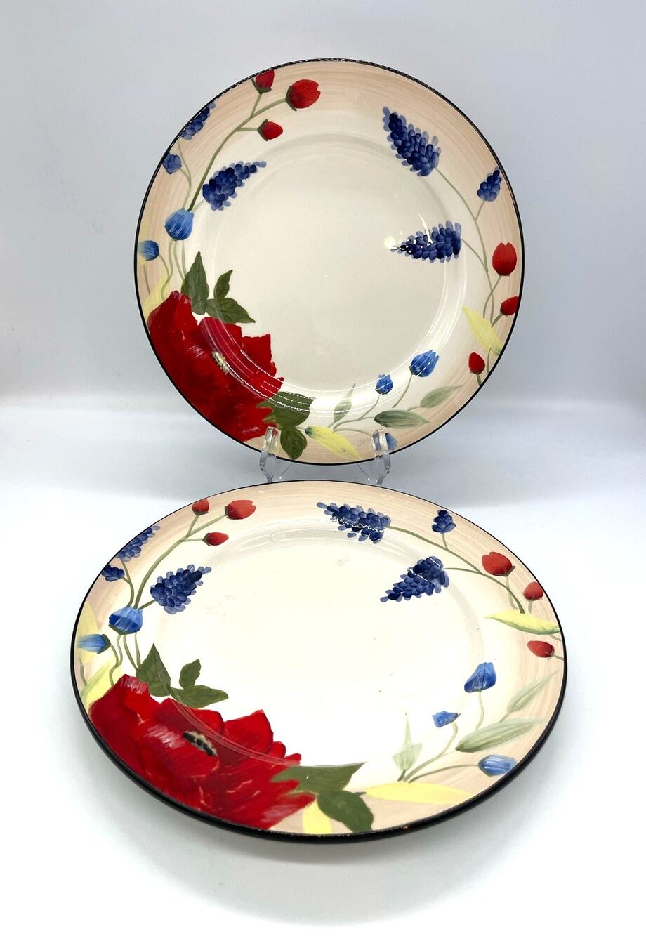 Pfaltzgraff Scarlett Set of 2 Dinner Plates 10.5" * See Wear on One Plate